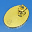 Polished Brass